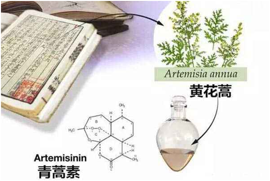 MK体育注册网(中国区)首页,：向中医药看齐，与世界共享中医药文化(图1)